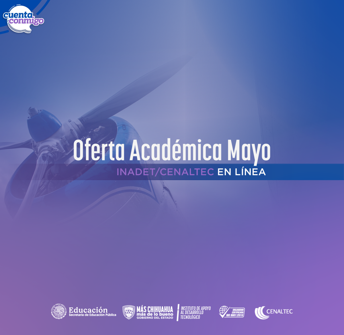 Cursos en línea Mayo 2025