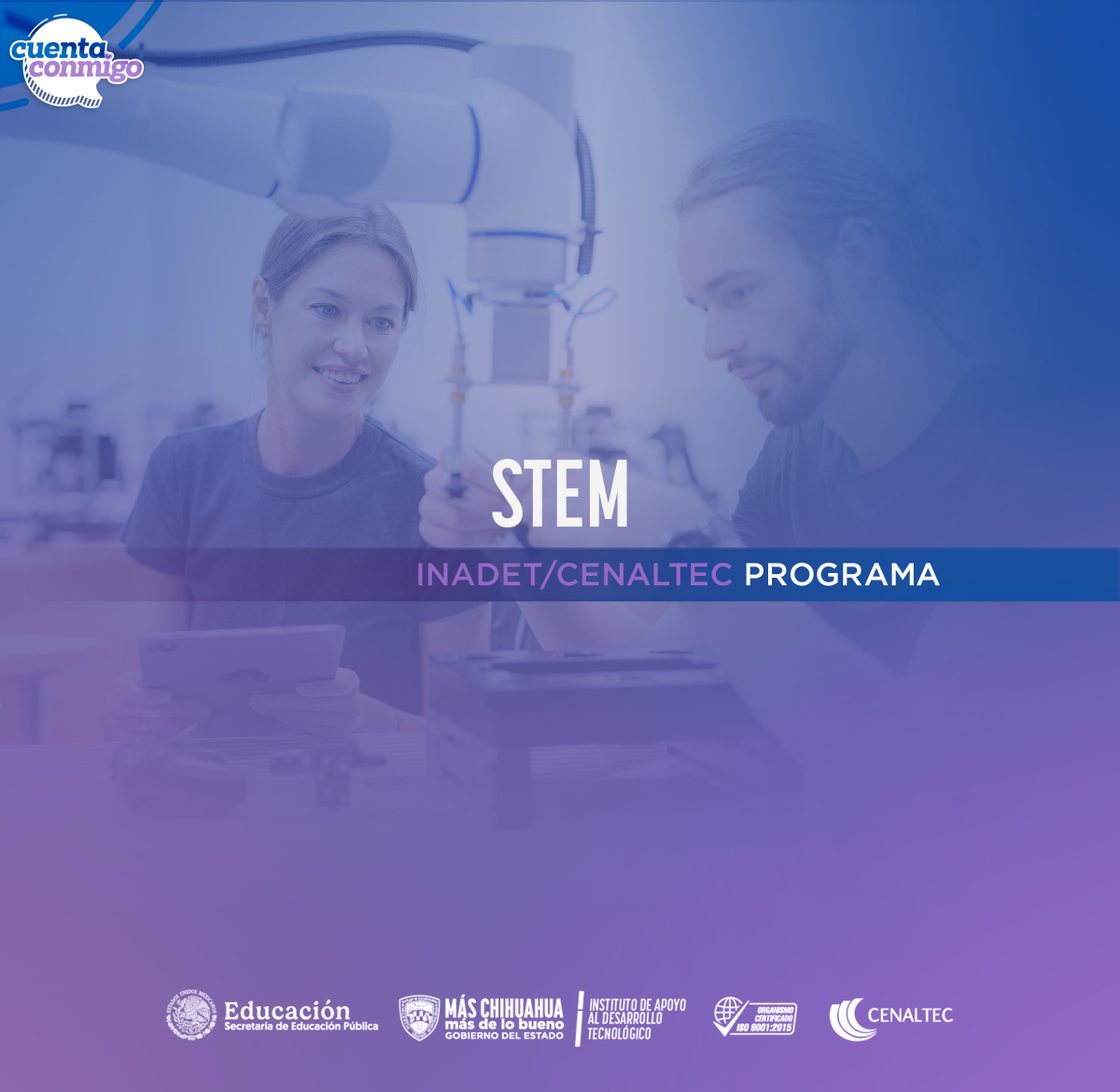 stem