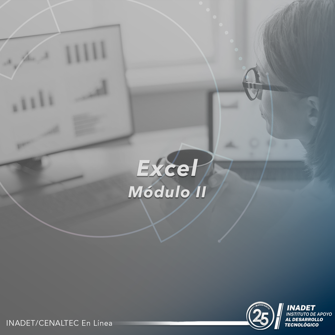 Excel Módulo II
